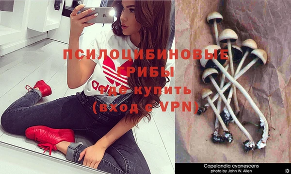 MDMA Premium VHQ Алзамай