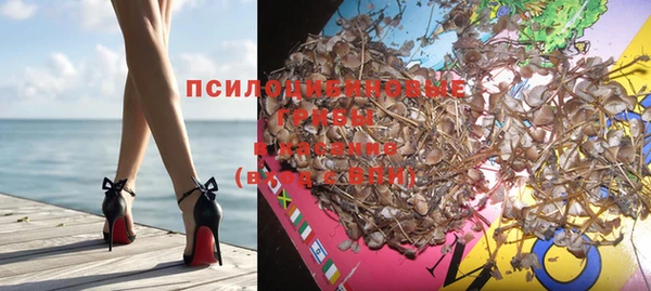 эйфоретик Алексин