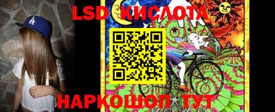 mdpv Заводоуковск