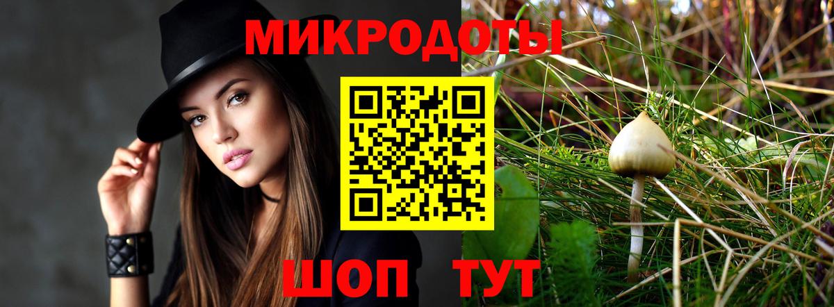 Псилоцибиновые грибы GOLDEN TEACHER Карачаевск