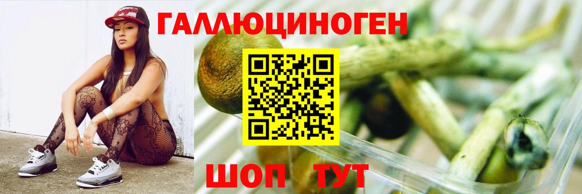 наркота  Галлюциногенные грибы Magic Shrooms  Вход с VPN  Карачаевск 